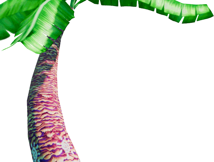 Gif of a Palm Tree