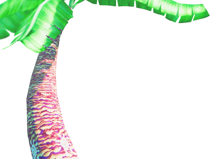 Gif of a Palm Tree
